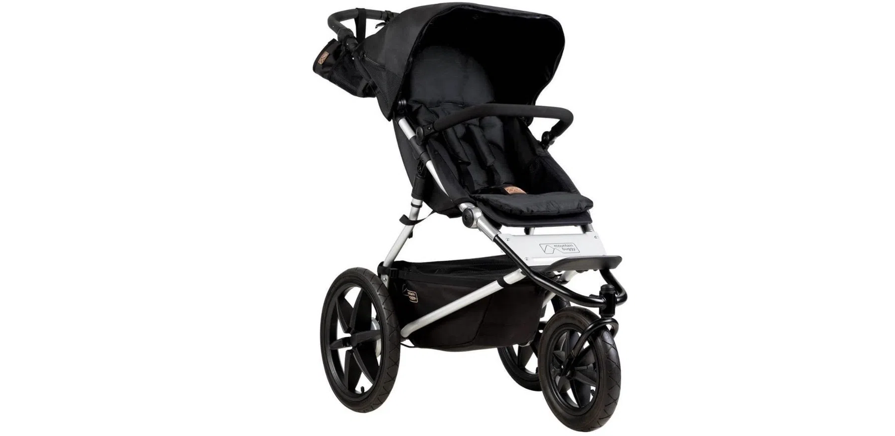 Mountain Buggy Terrain